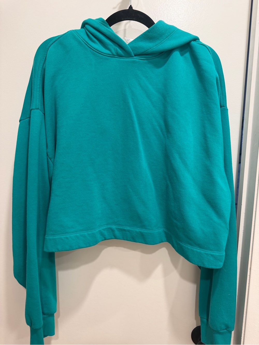 ALO Yoga Bae Hoodie - Spruce Green - Picture 2 of 5